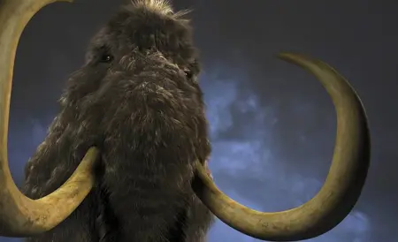 KingMammoth's Avatar